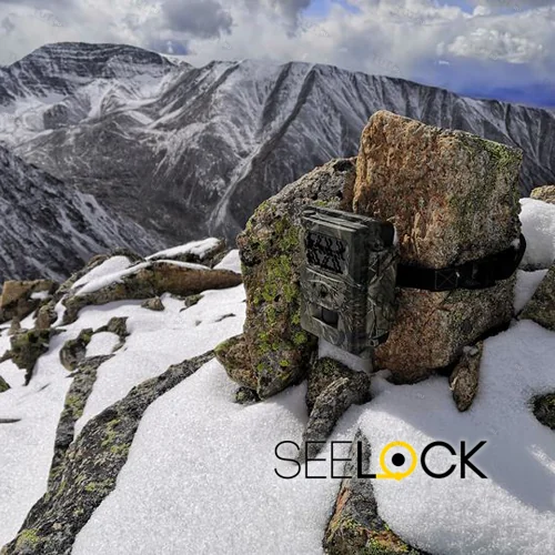 Фотоловушка SEELOCK S308